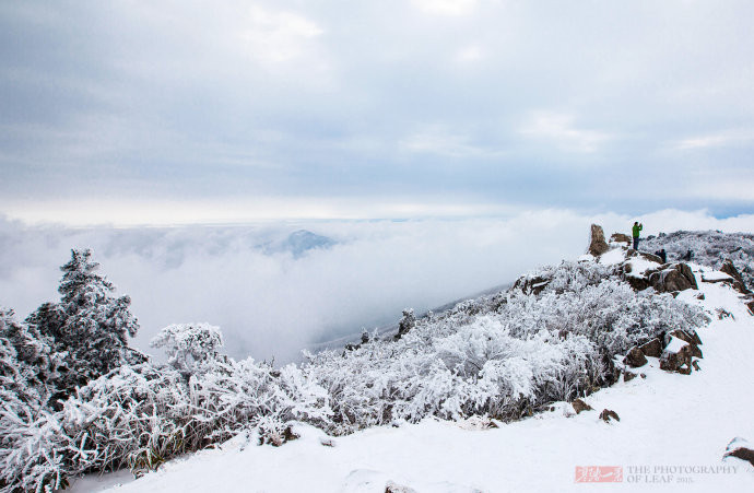 浙江安吉龙王山:艰难跋涉只为那震撼雪景