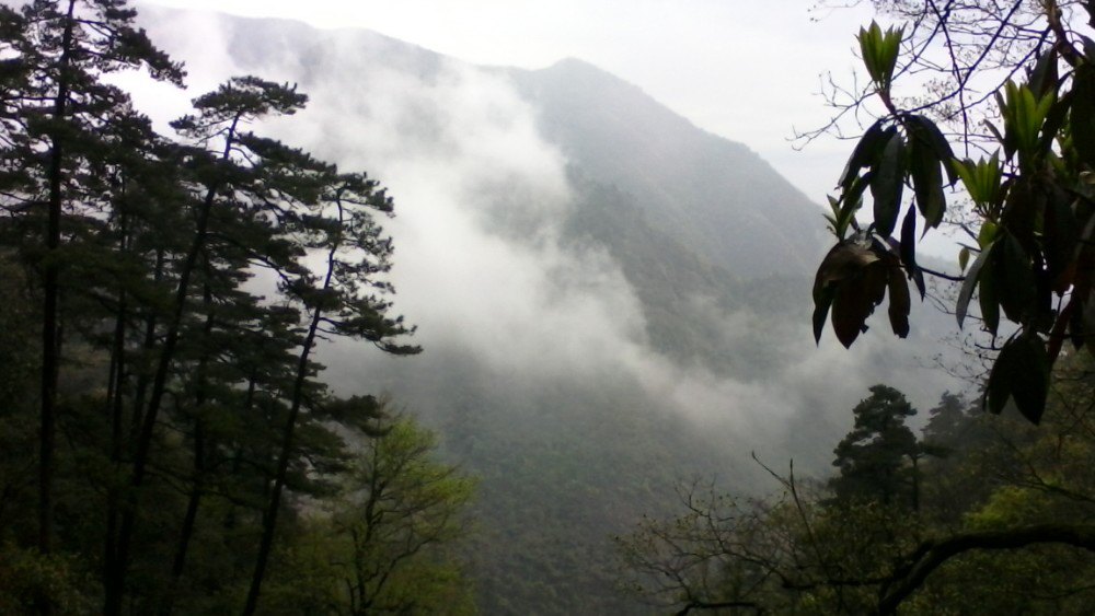 东天目山景区