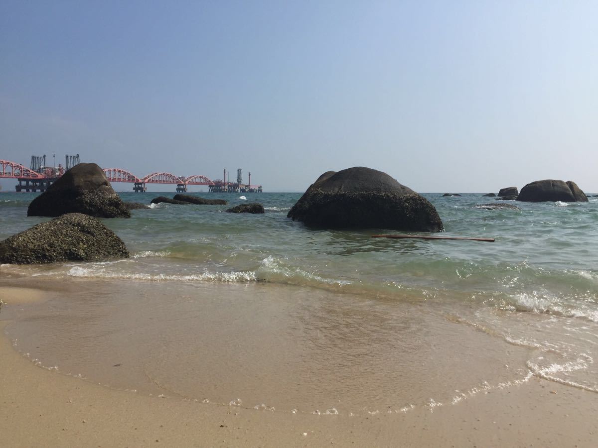 2021玫瑰海岸-旅游攻略-门票-地址-问答-游记点评，深圳旅游旅游景点推荐-去哪儿攻略
