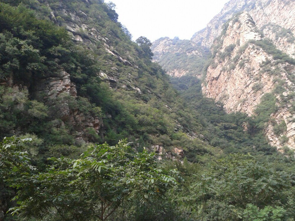 梨木台风景区