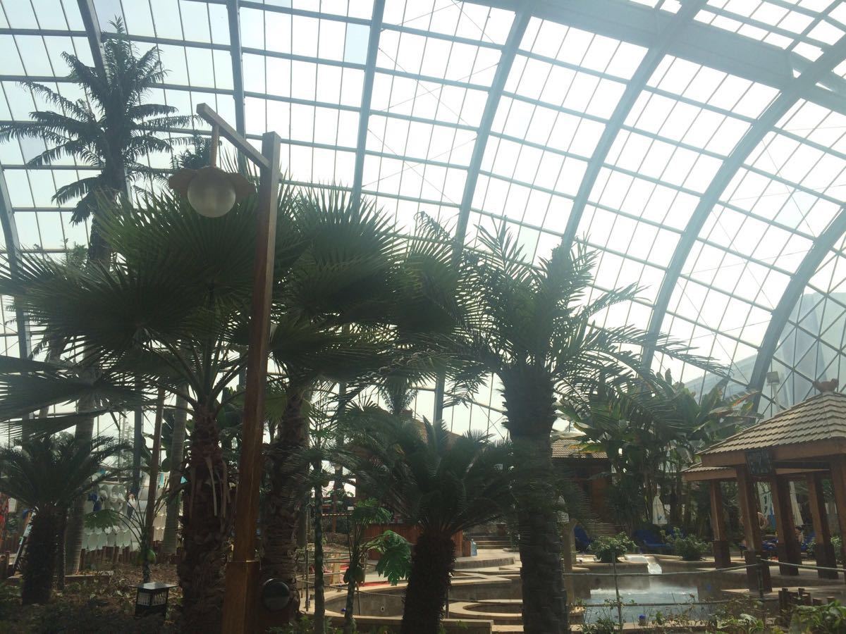 悦兮半岛温泉 携程网