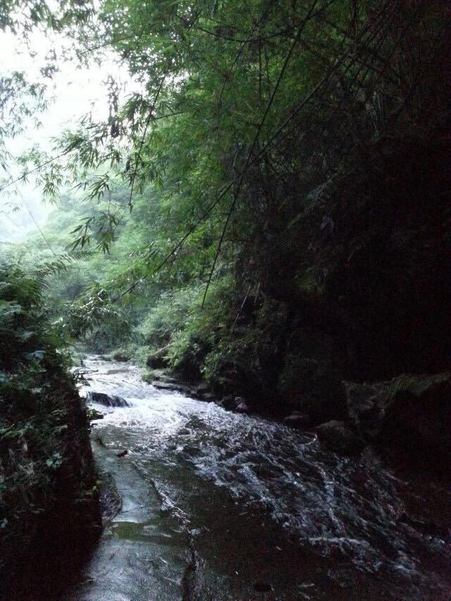 【携程攻略】邛崃芦沟竹海景点,芦沟小住几日,难得的