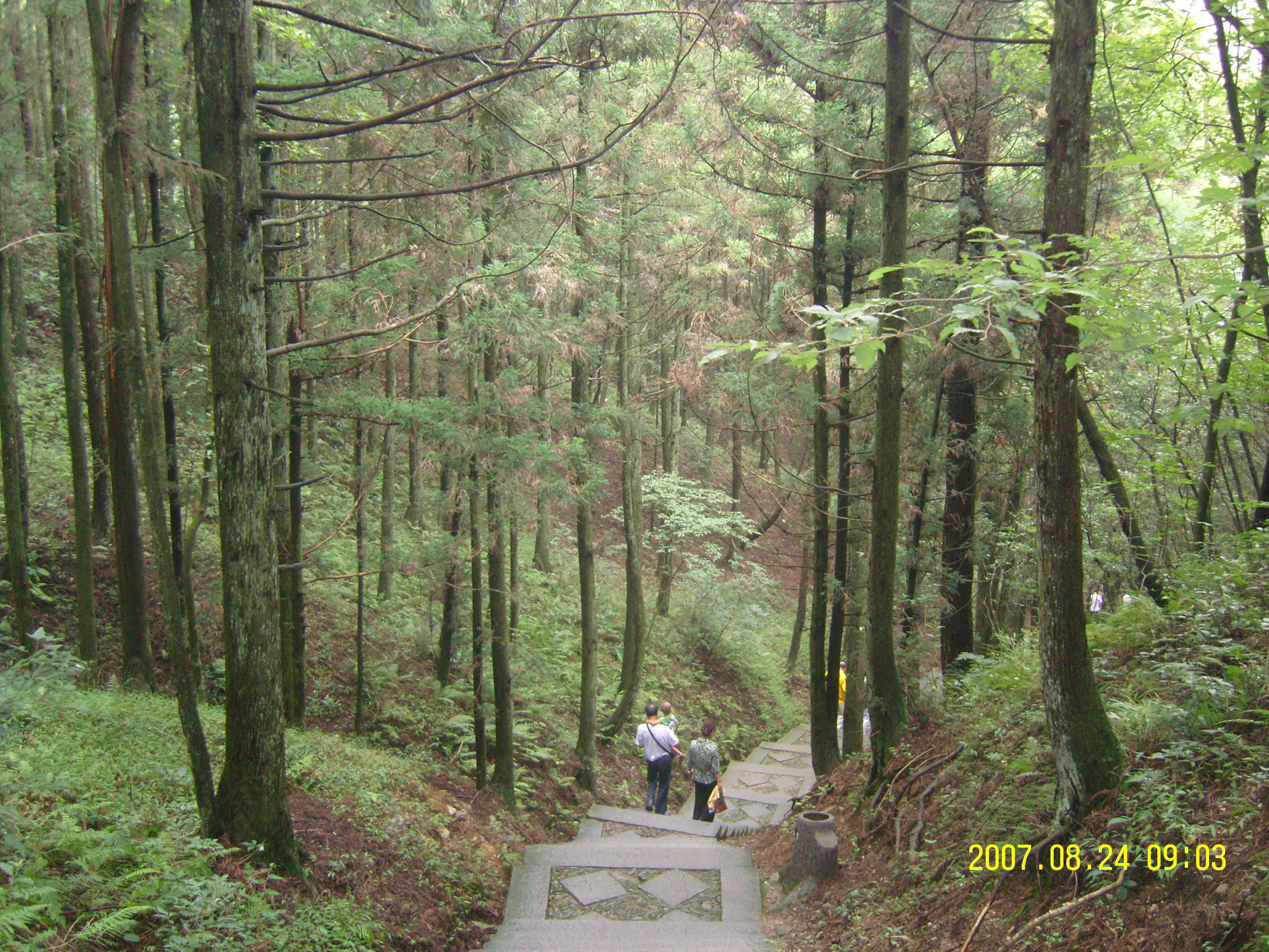 庐山植物园