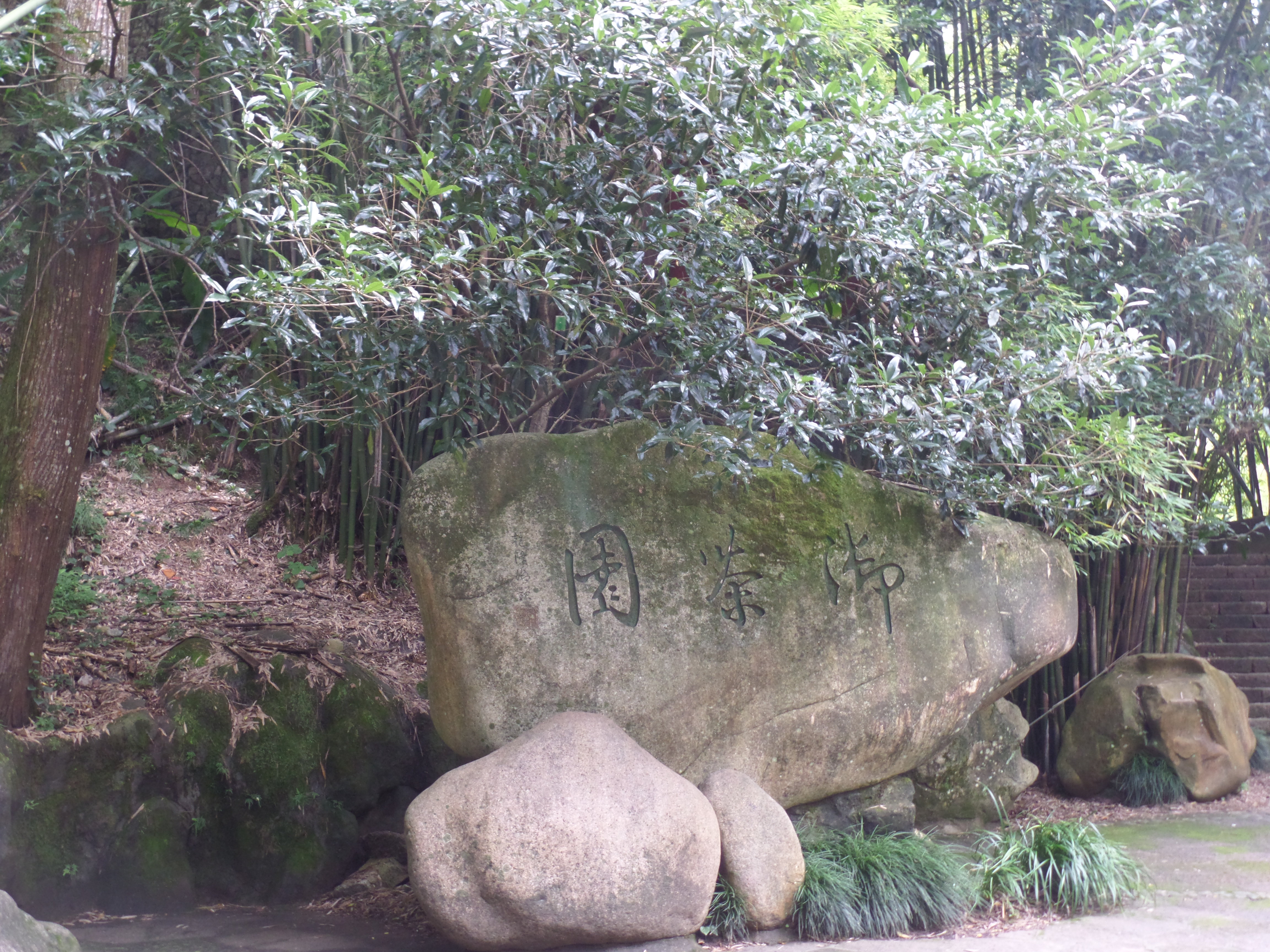 20140829~31武夷山4日游