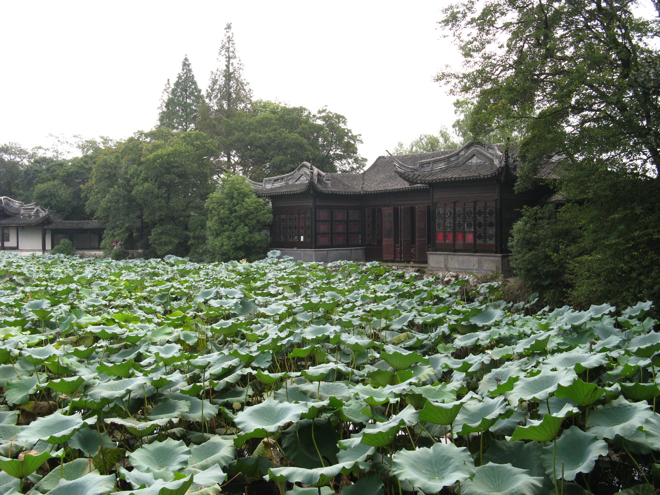 小莲庄旅游景点攻略图