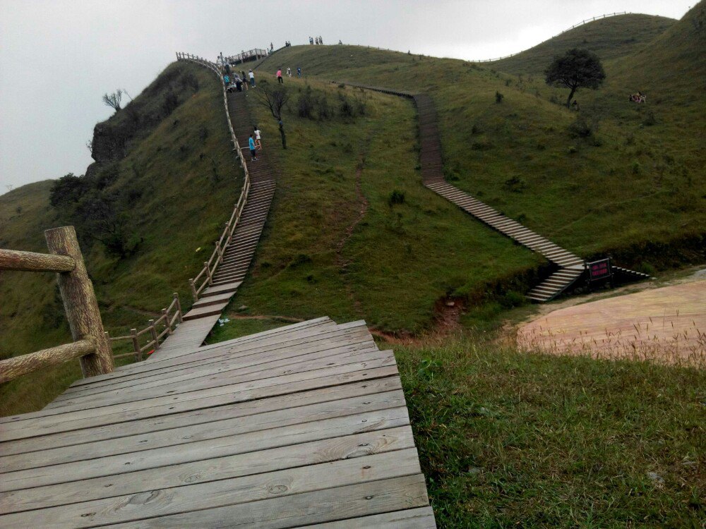 天龙顶国家山地公园