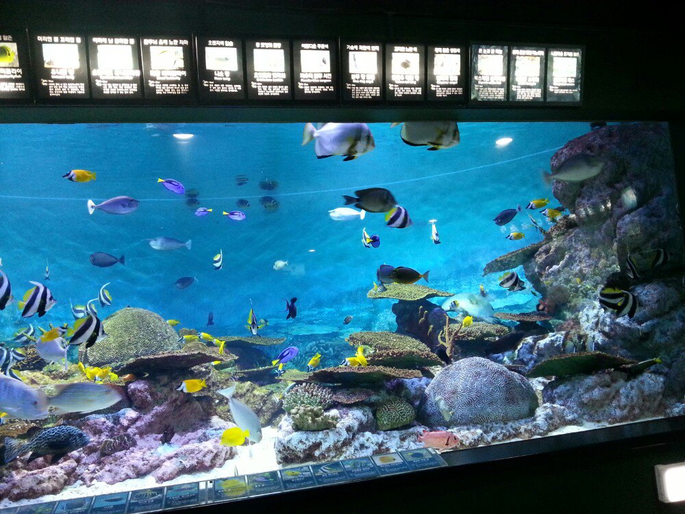 coex水族馆