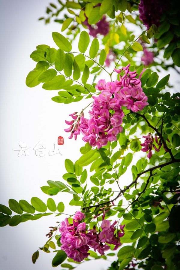 加游站#走进云台山,重回大自然