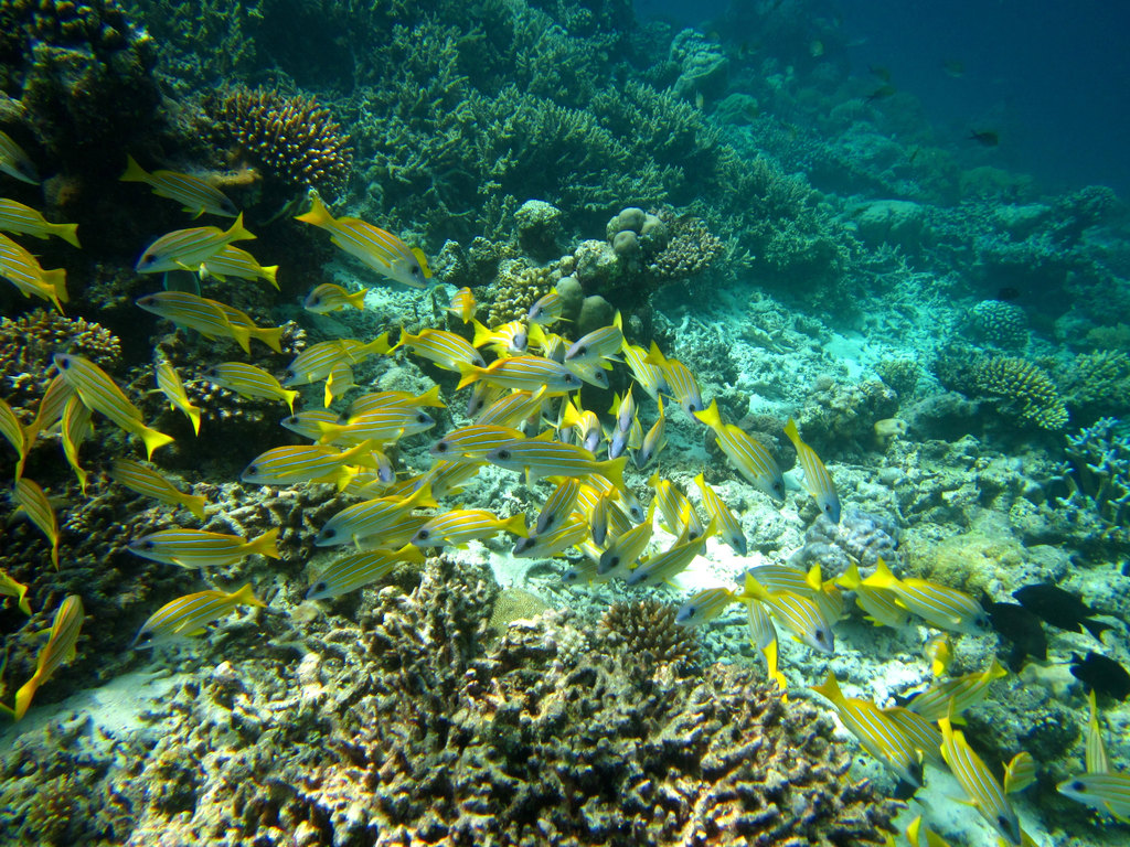 求 (天王)(人间冰器)全本小说。邮箱 w8749484