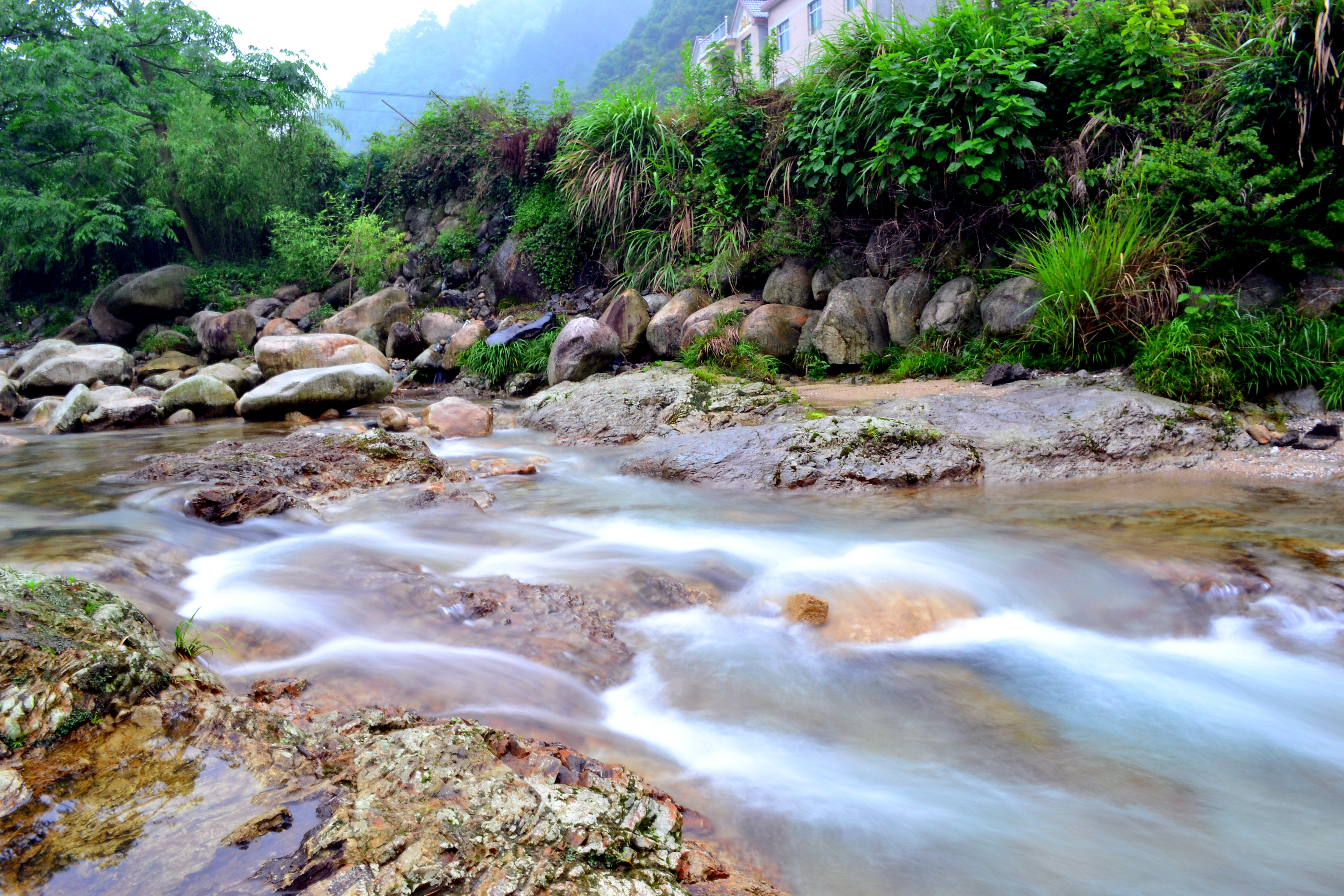 天目山景点景区图片-天目山风景名胜图片-天目山旅游