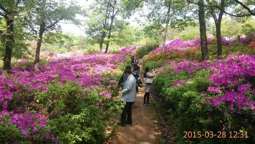 昆明植物园