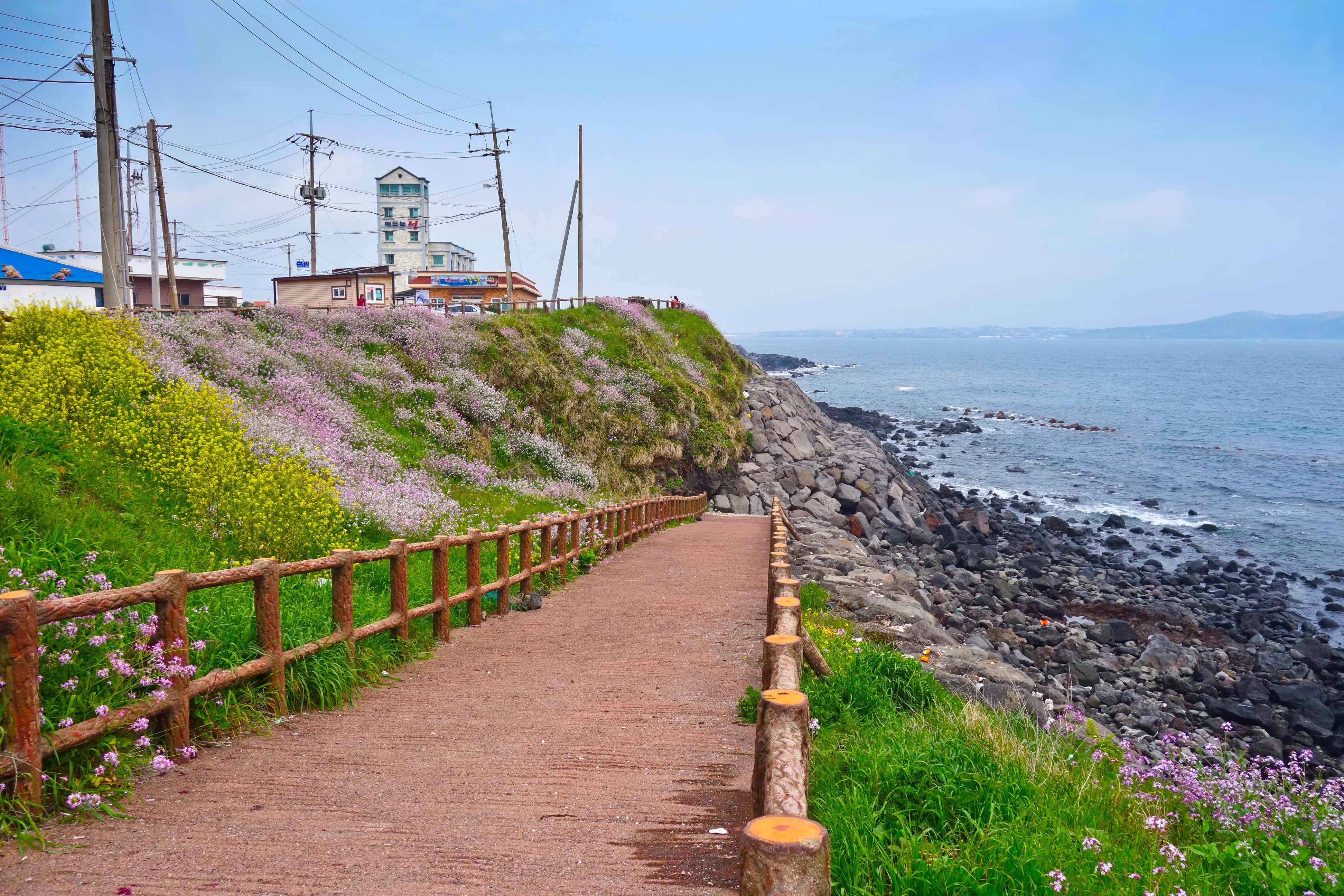 偶来小路是韩国济州的著名景点,被誉为"最美丽平和的小路".