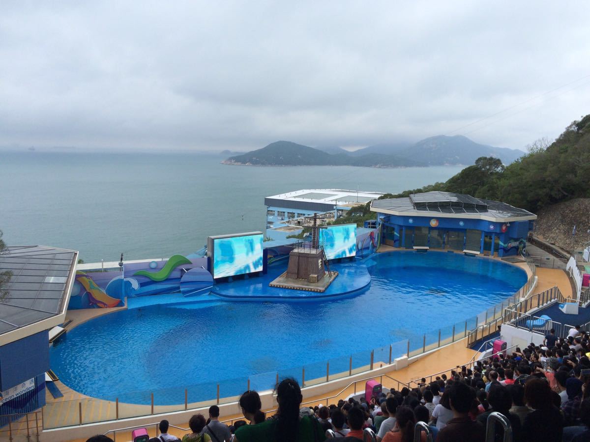 【席卷你的想象】上海海昌海洋公园虎鲸科普秀一日 - 大众旅游（大众国际）