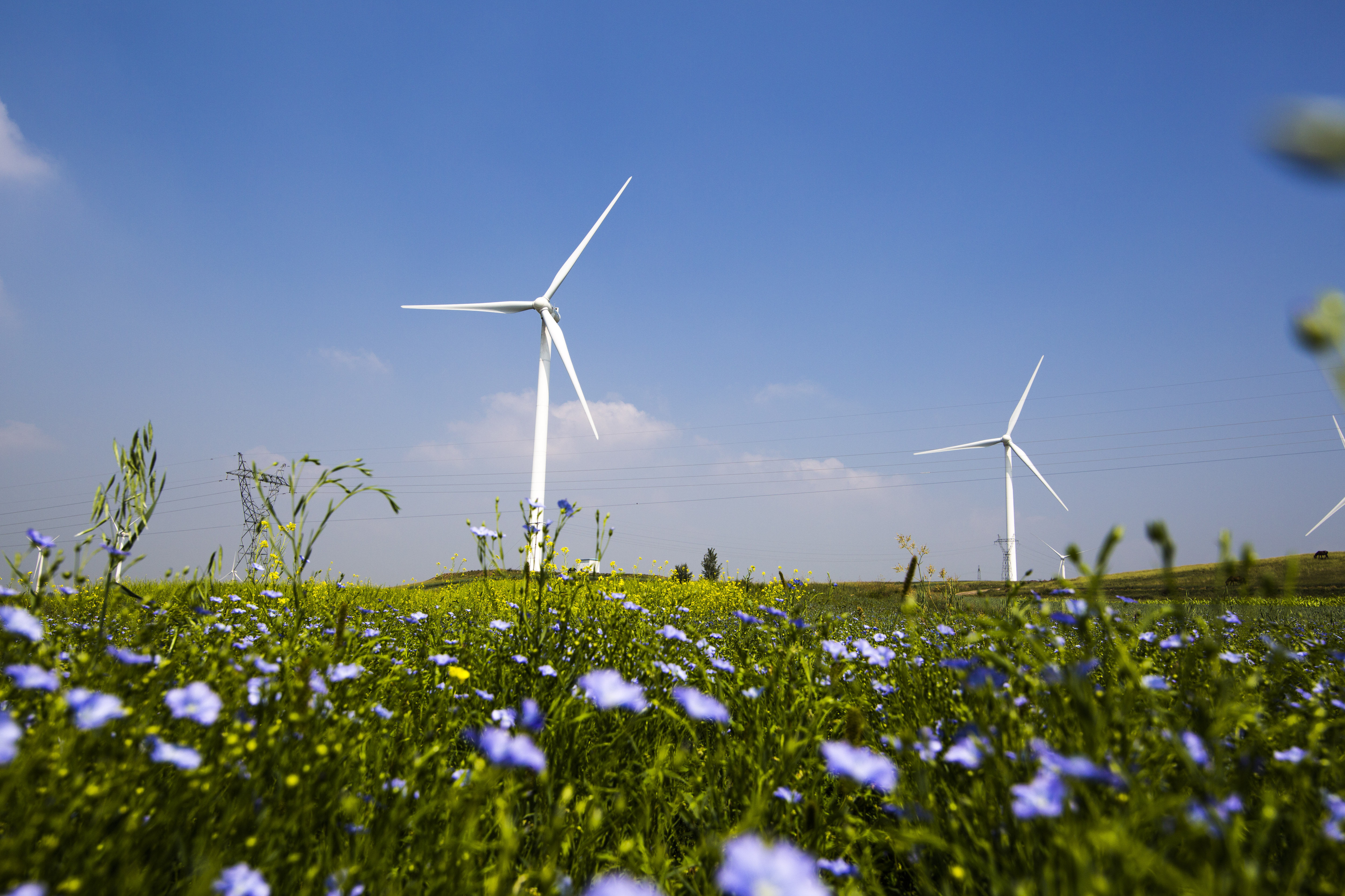 徒步穿越·河北张家口2日1晚跟团游·【草原天路】《中都草原、打树花》-【携程旅游】