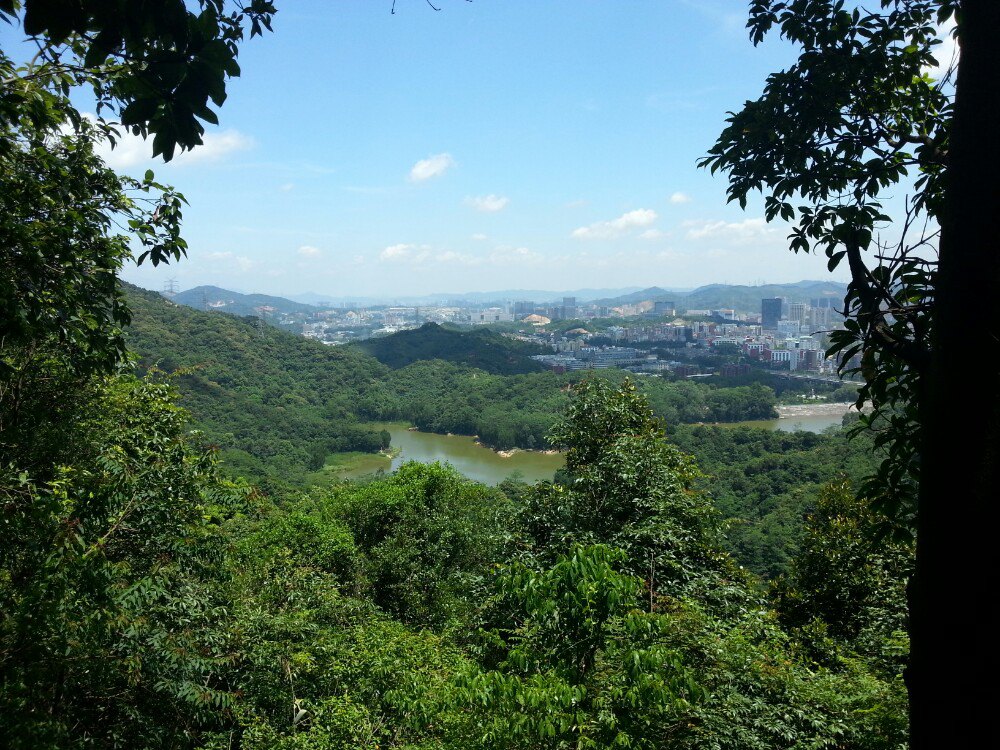 第1天 2015-06-28 深圳龙华新区,最近的山,就是羊台山.