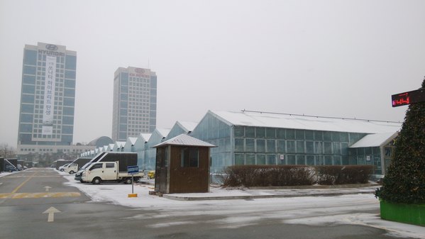 别样游首尔——首尔花卉市场flower city.