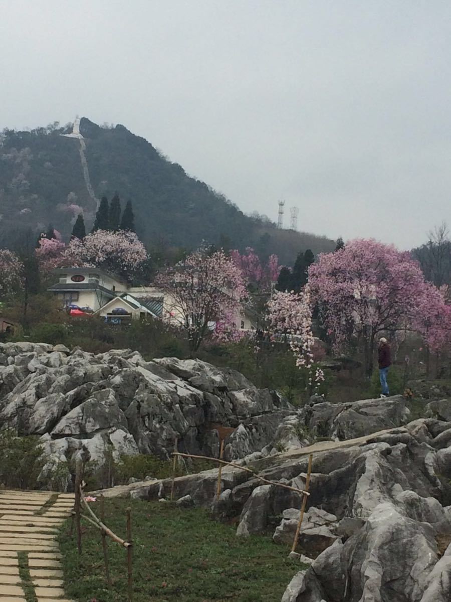 2019药王谷_旅游攻略_门票_地址_游记点评,北川旅游景点推荐 去哪儿