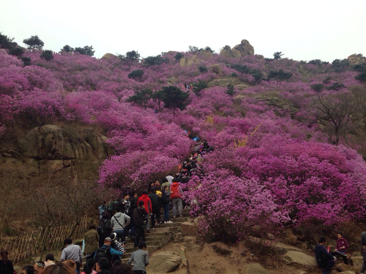 大珠山风景区