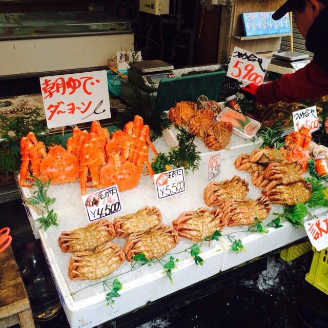 12月在日本--一个吃货的北海道自由行 - 日本游