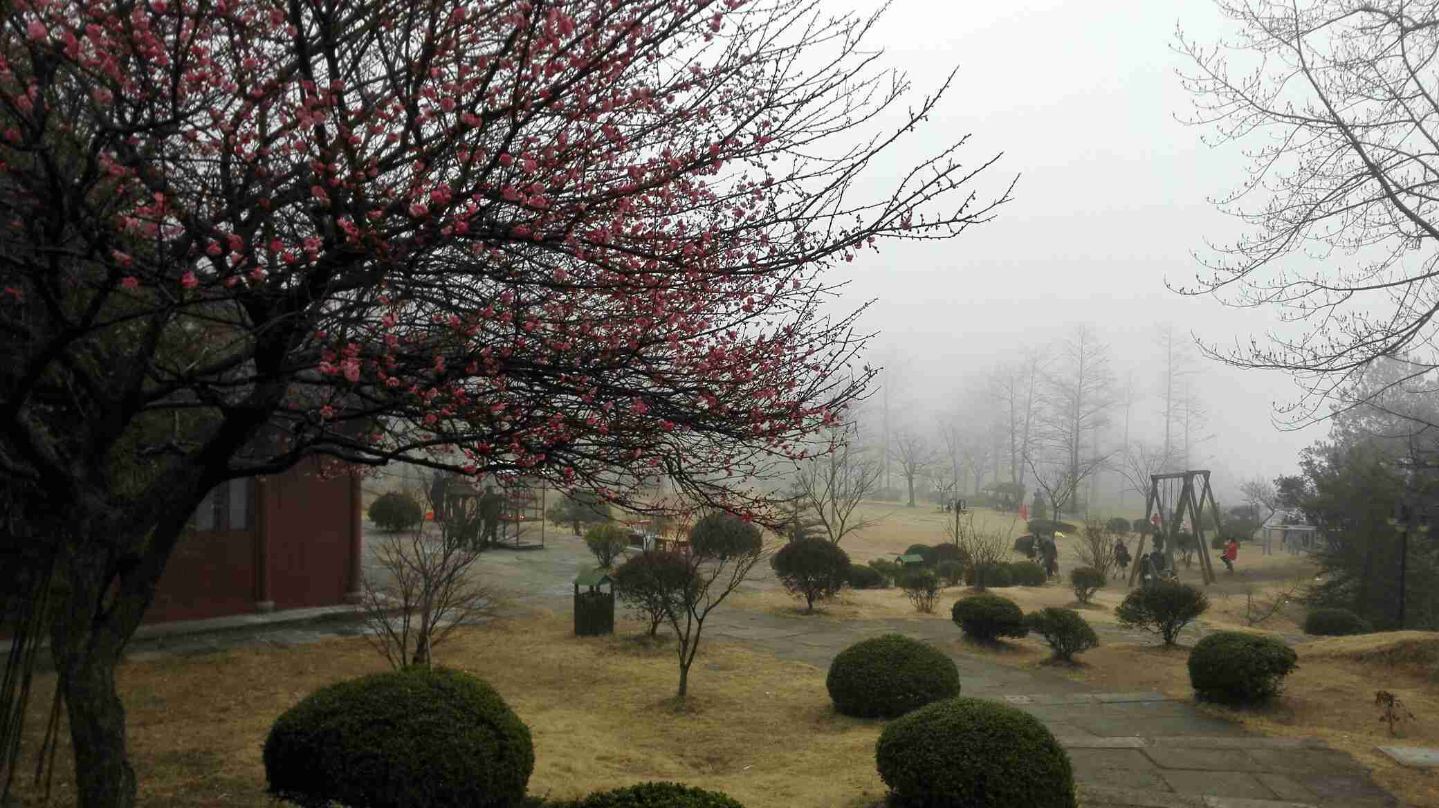 奉化商量岗旅游度假村