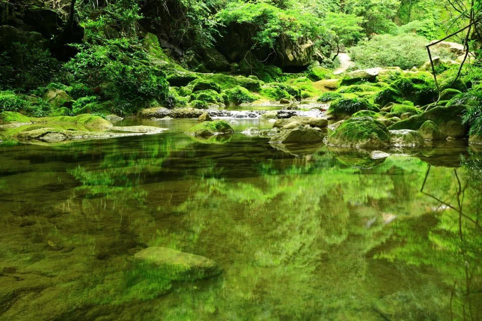 荔波茂兰自然保护区