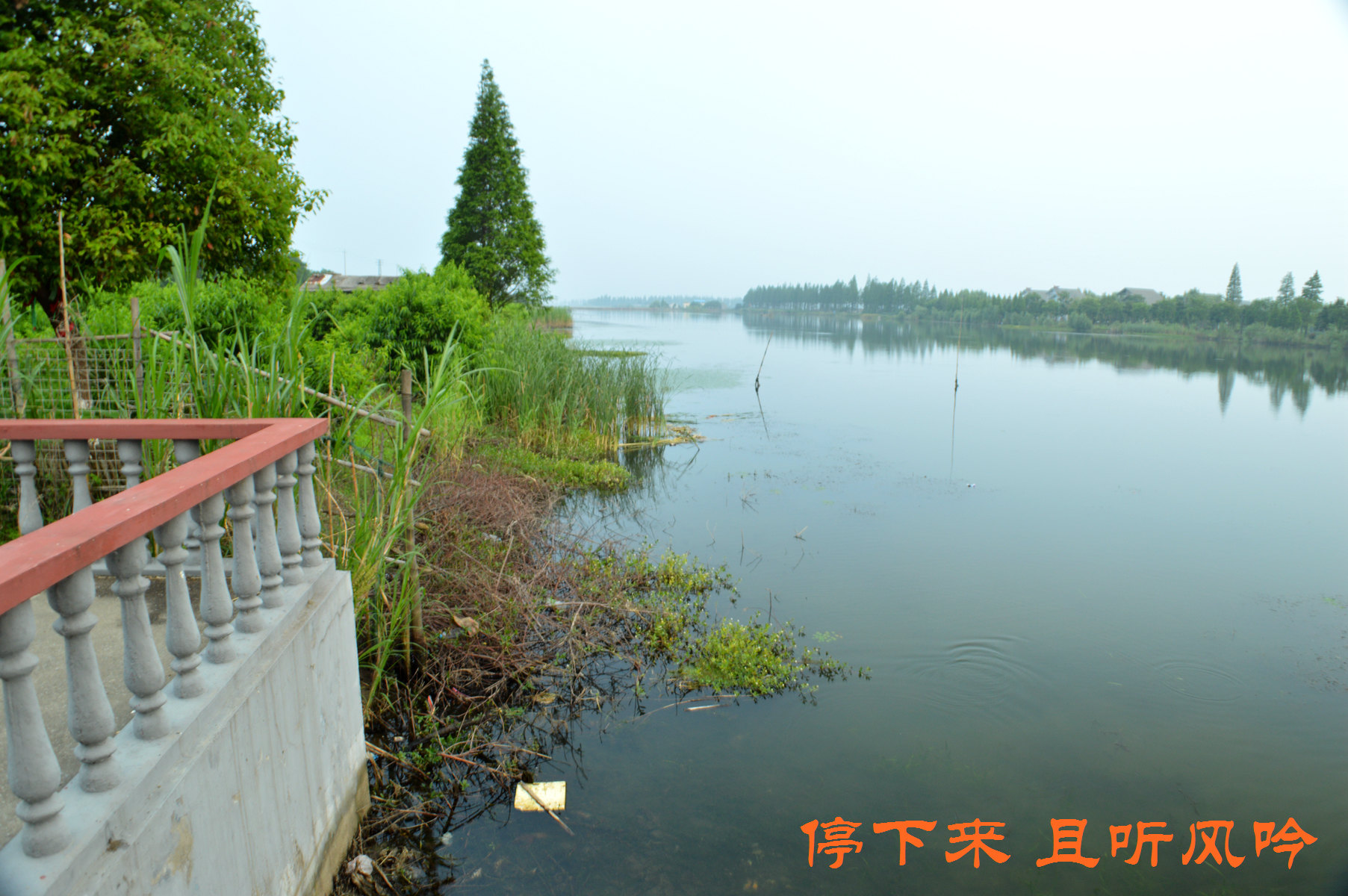 科学网—海口红城湖公园（多图） - 刘进平的博文