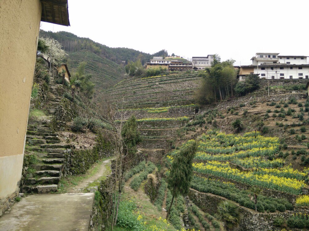 蜈蚣岭 - 黄山风景区游记攻略【携程攻略】