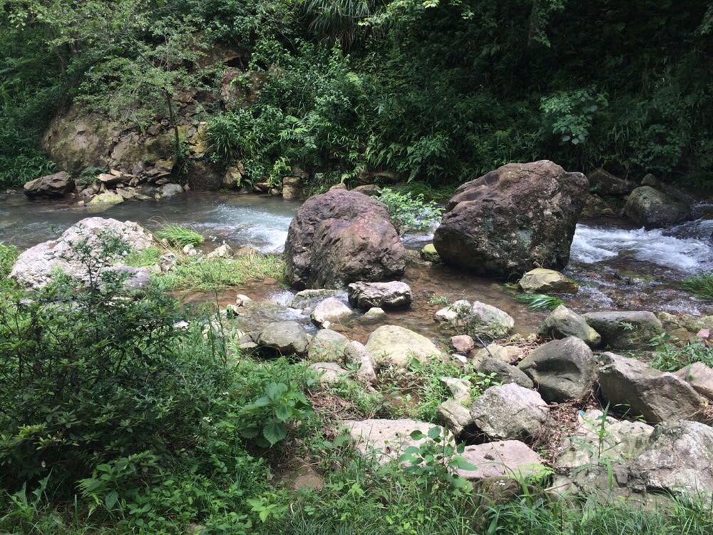 白石湾一日游 - 浦江游记攻略【携程攻略】