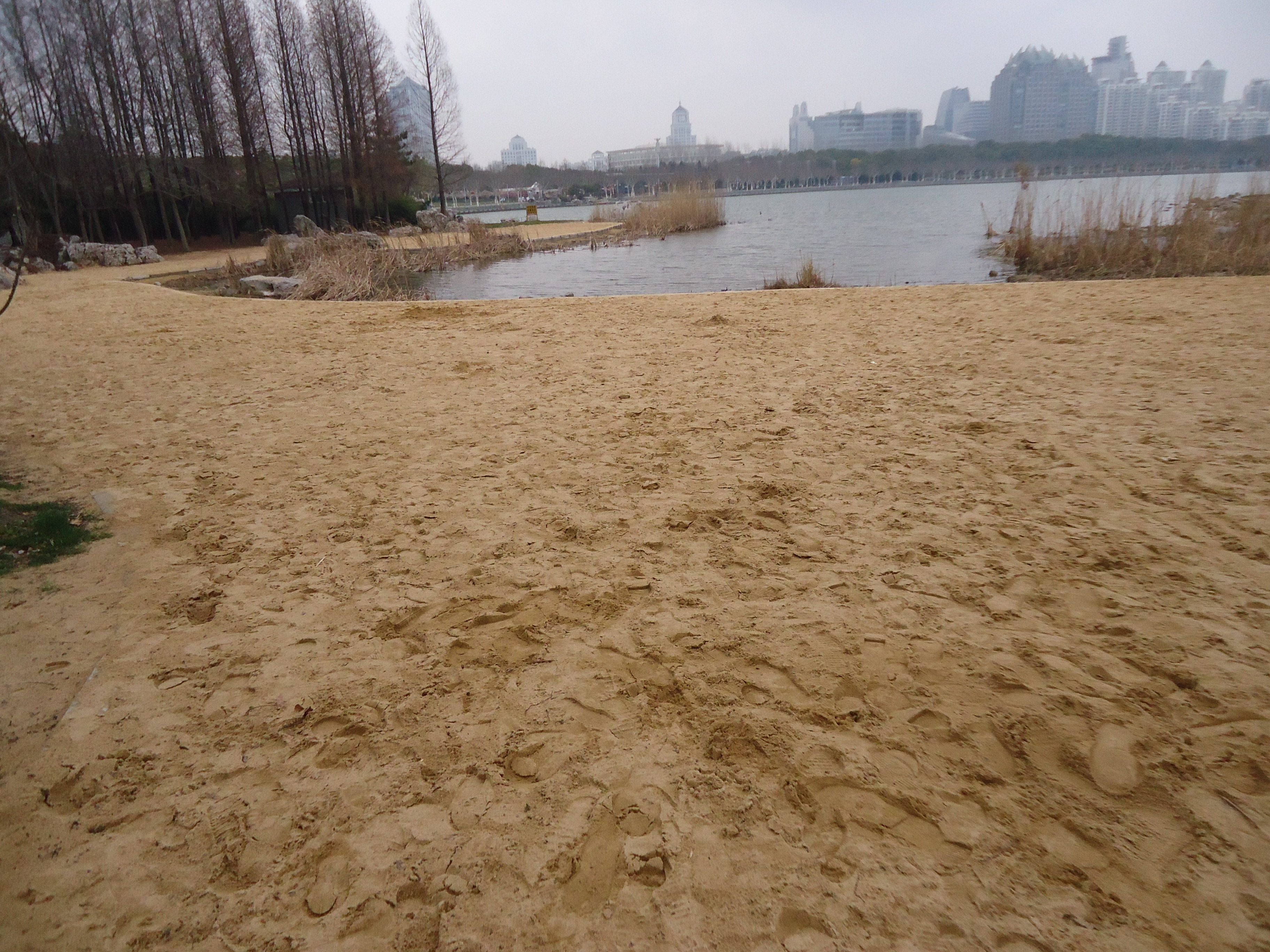 随手拍之世纪公园人工沙滩