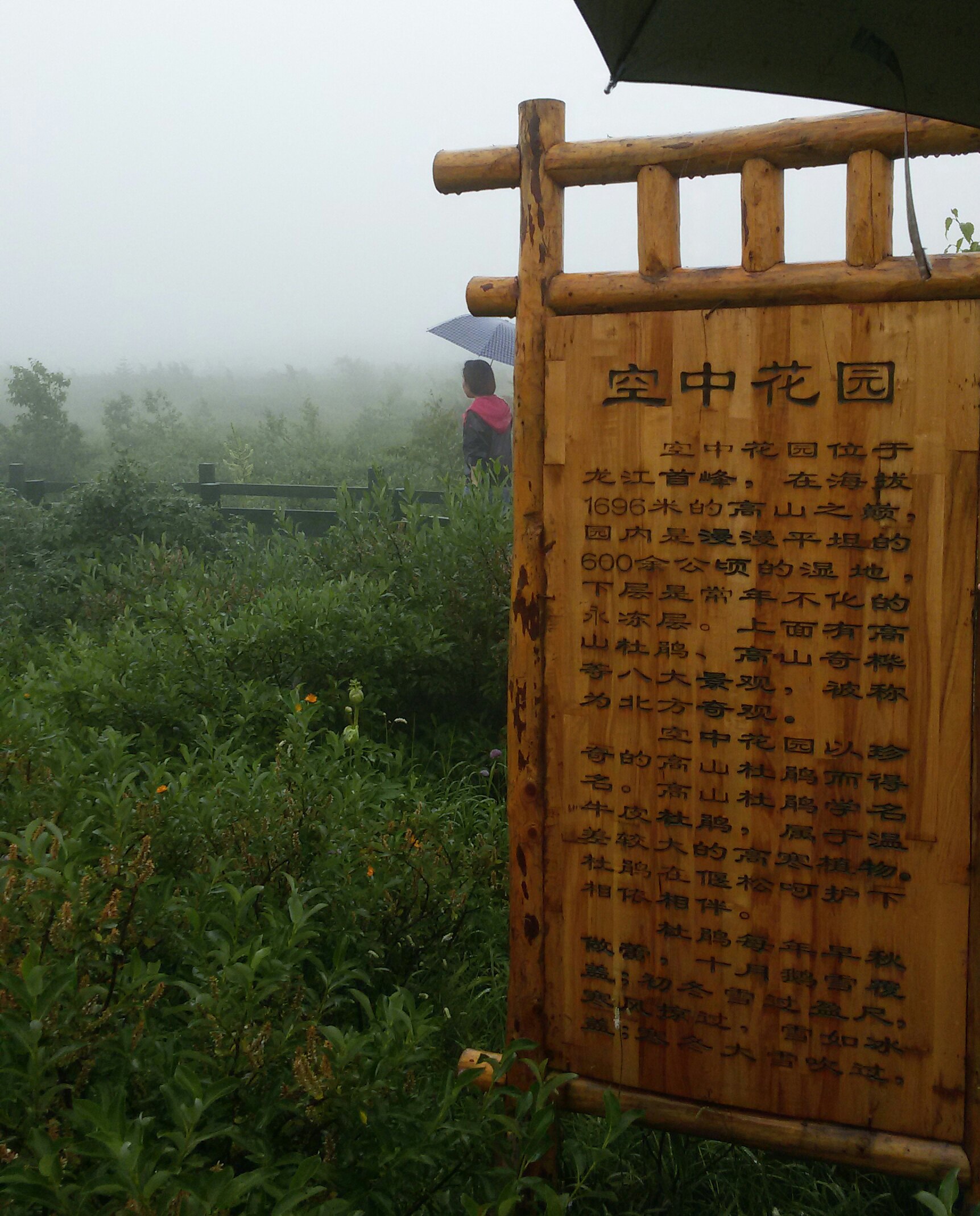 五常凤凰山之旅:大峡谷里悠然神怡,空中花园俯视人间