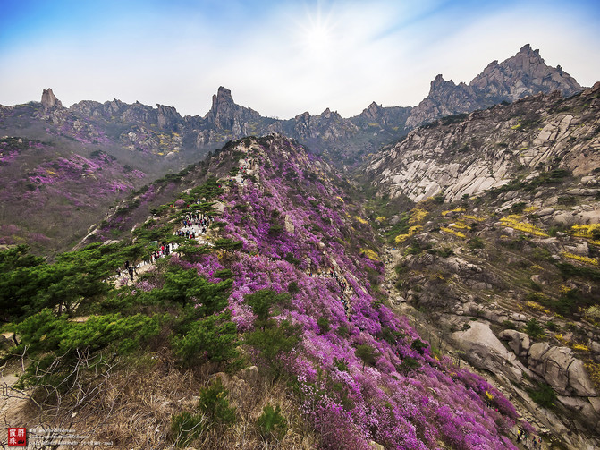 牛牛爱旅行 之 霞蔚珠山 (青岛黄岛大珠山,小珠山游览记)