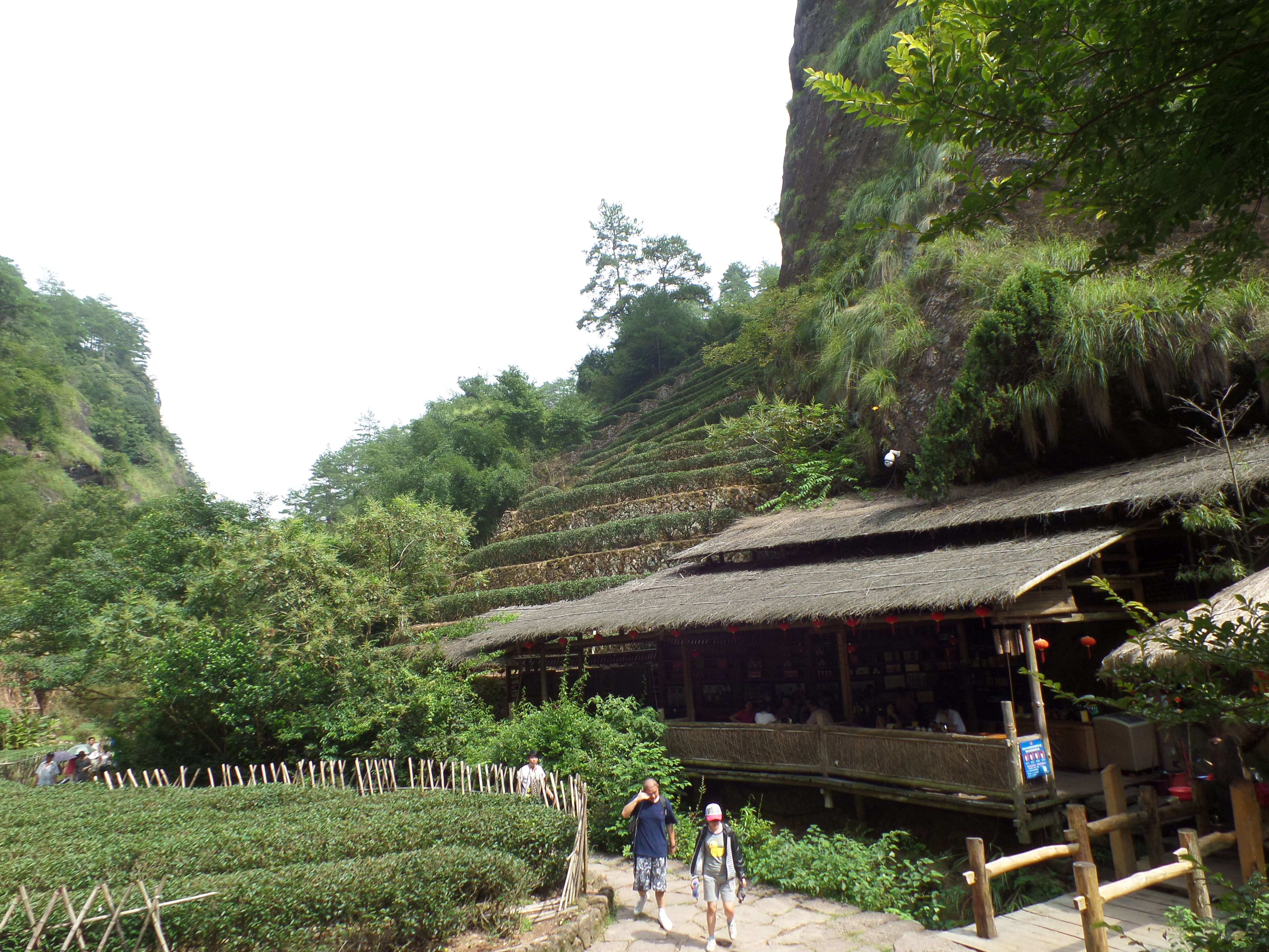 20140829~31武夷山4日游