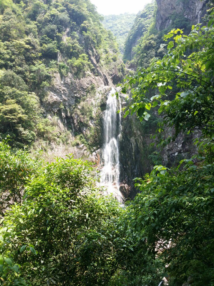 龙湾潭国家森林公园