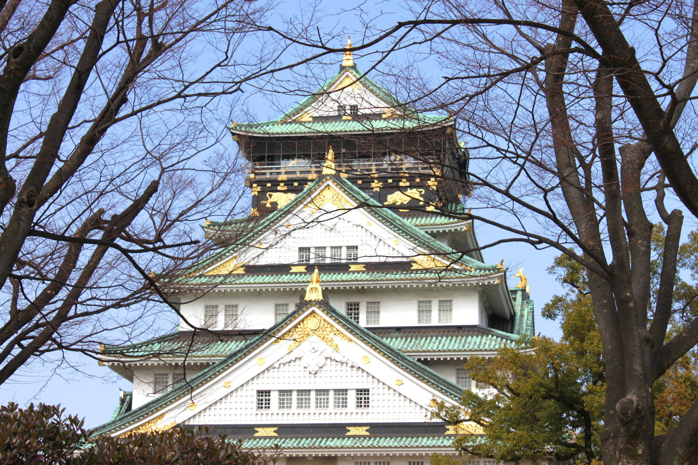 日本东京 箱根 京都 大阪6日跟团游(3钻·蟹道乐 一天free 赏樱名所