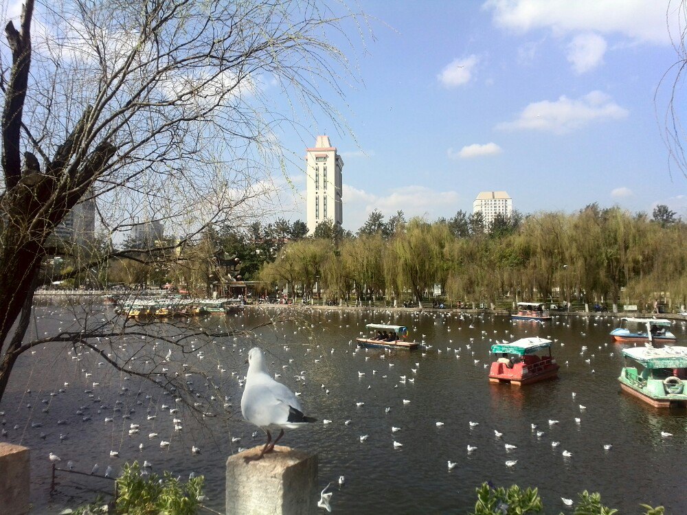 翠湖公园