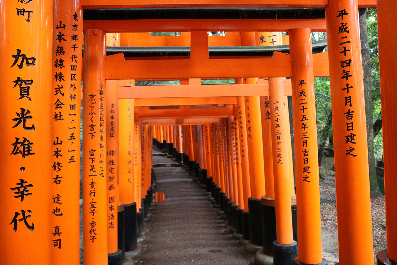 【携程攻略】京都伏见稻荷大社景点,日本伏见稻荷大社建于8世纪，主要是祀奉以宇迦之御魂大神为首的诸位…