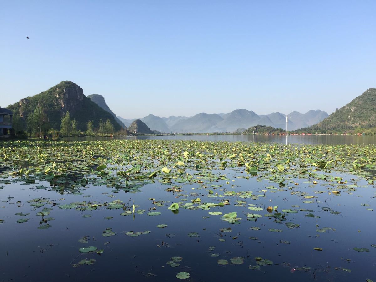 普者黑旅游景点攻略图