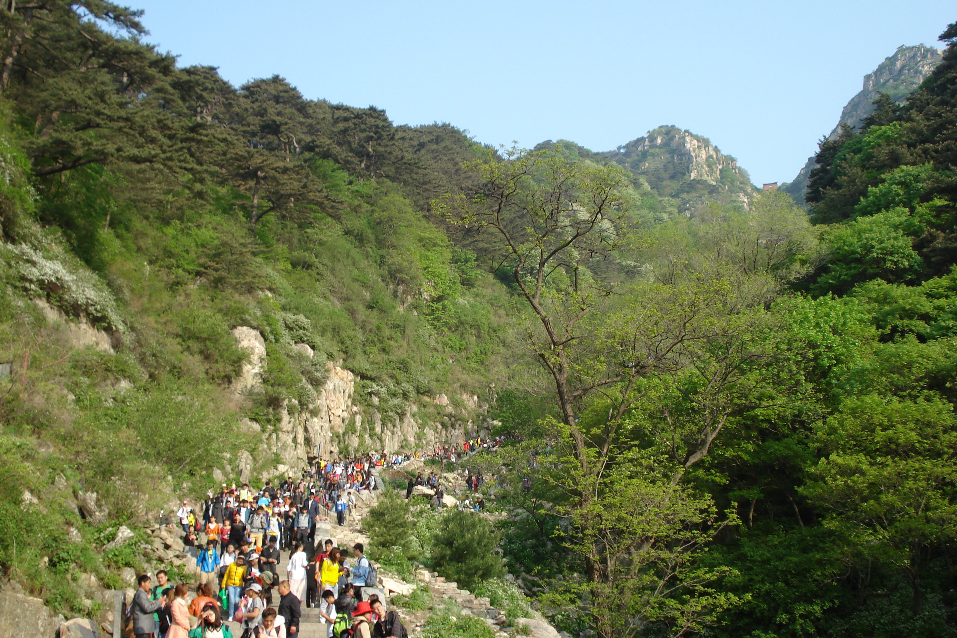 增加景点旅游解说物的类型景区的亲身经历相结合