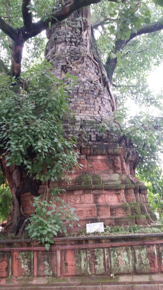 勐卧佛寺双塔