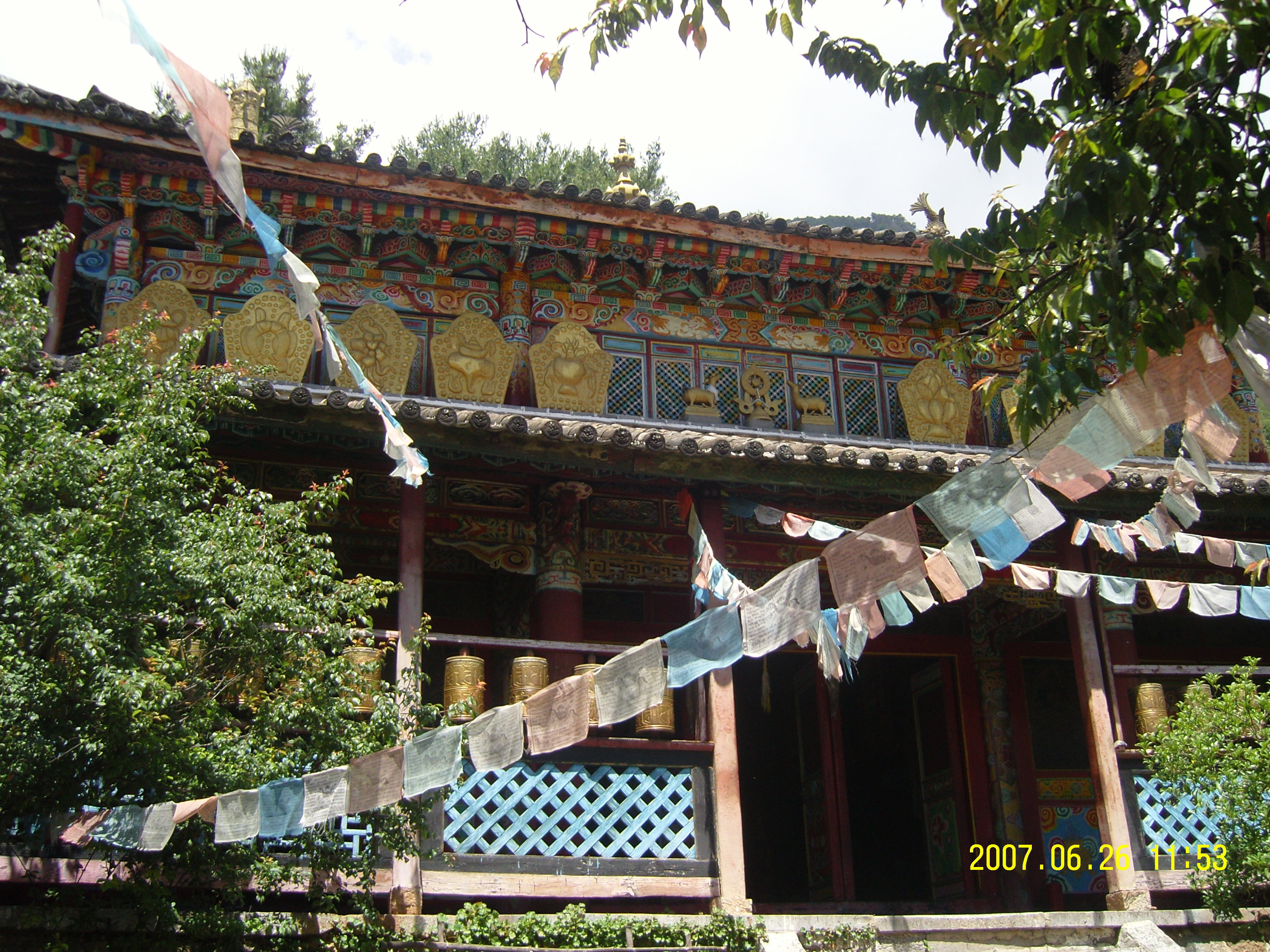 玉峰寺并不是以寺庙和喇嘛出名,而是以一株500多年的山茶树享誉海外