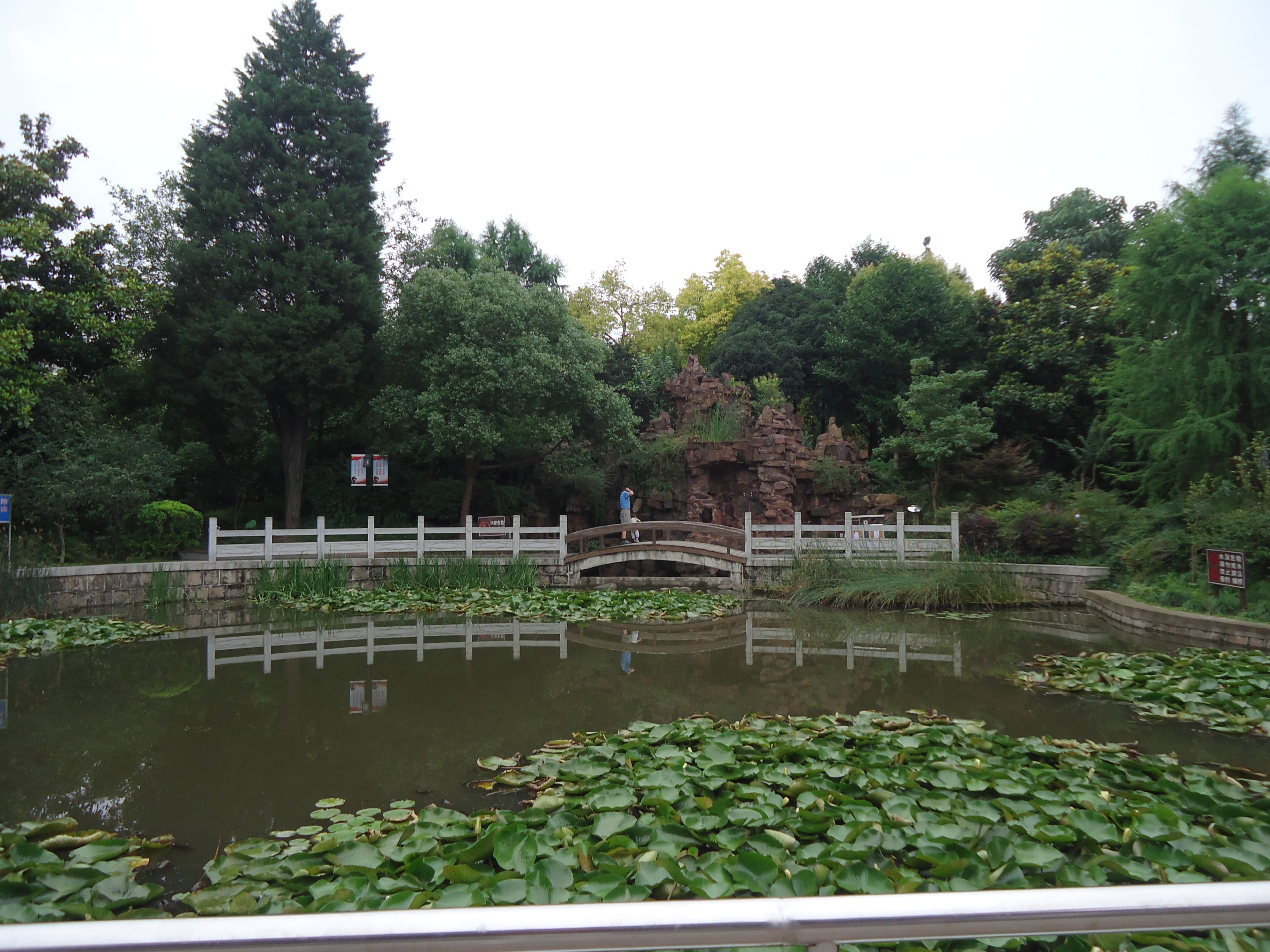 随手拍之梅园公园