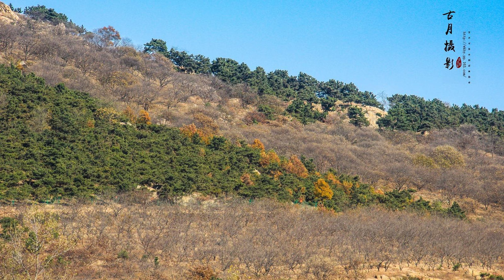 偏向后山行—山东外国语学院后山 庙山