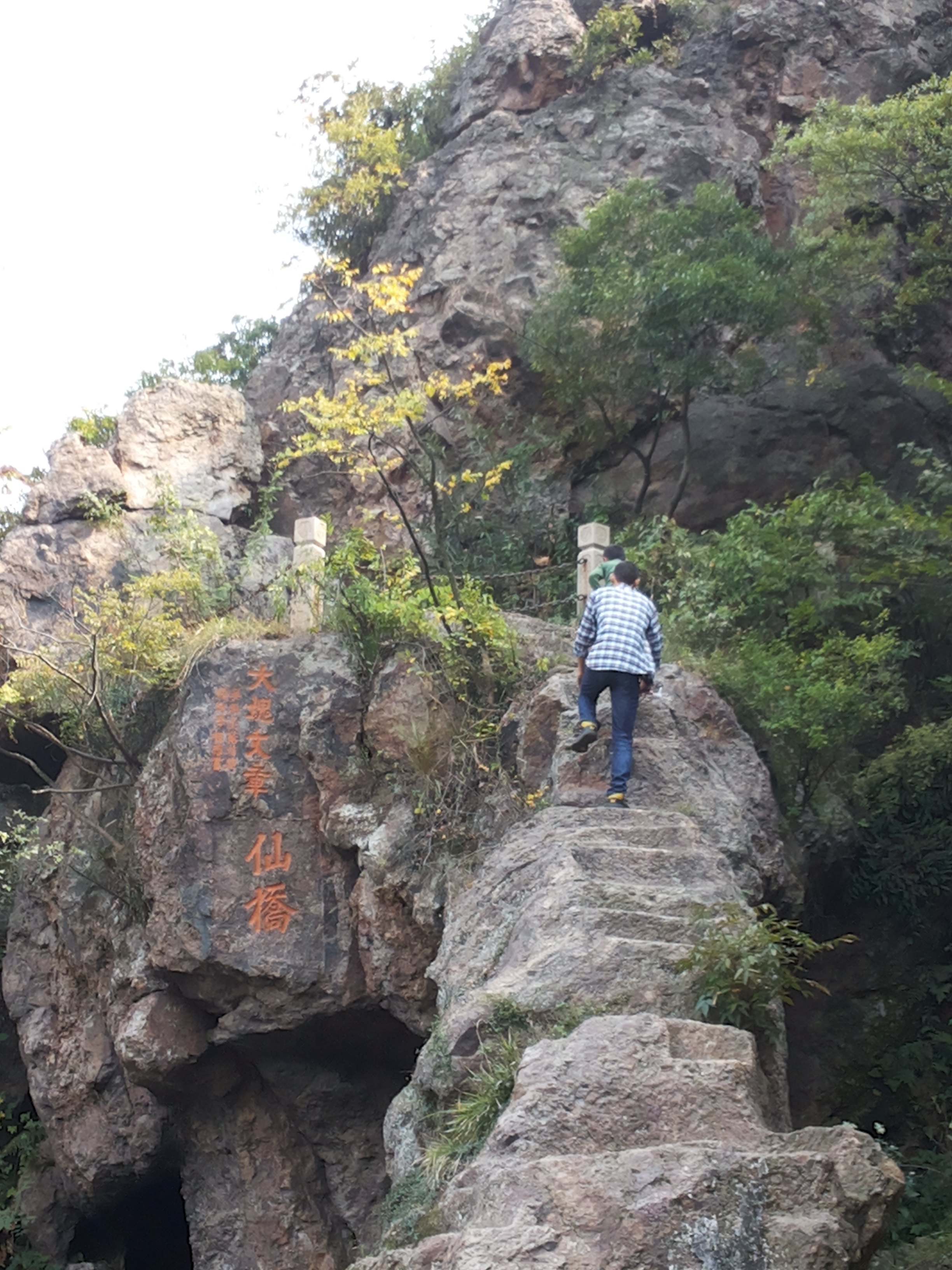 树山生态村