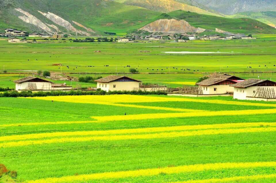 赏枫游·云南丽江+香格里拉+泸沽湖+丽江古城+束河古镇8日7晚跟团游·高原牧场+三大古镇+民族歌舞表演-【携程旅游】