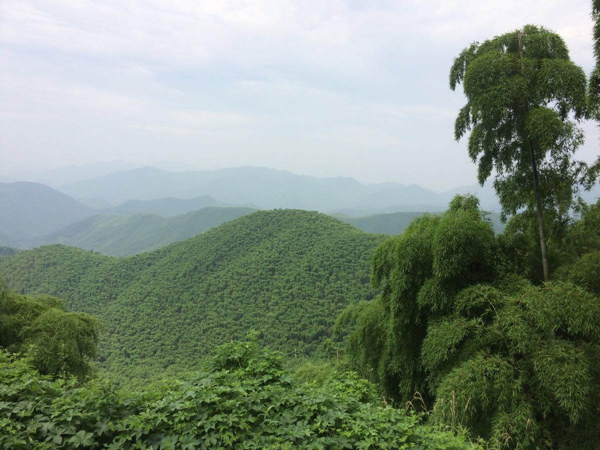 莫干山景区