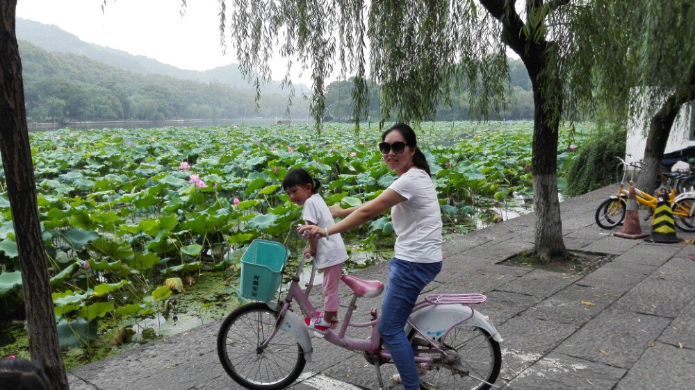 【携程攻略】杭州西湖景点,很漂亮,骑自行车玩有感觉