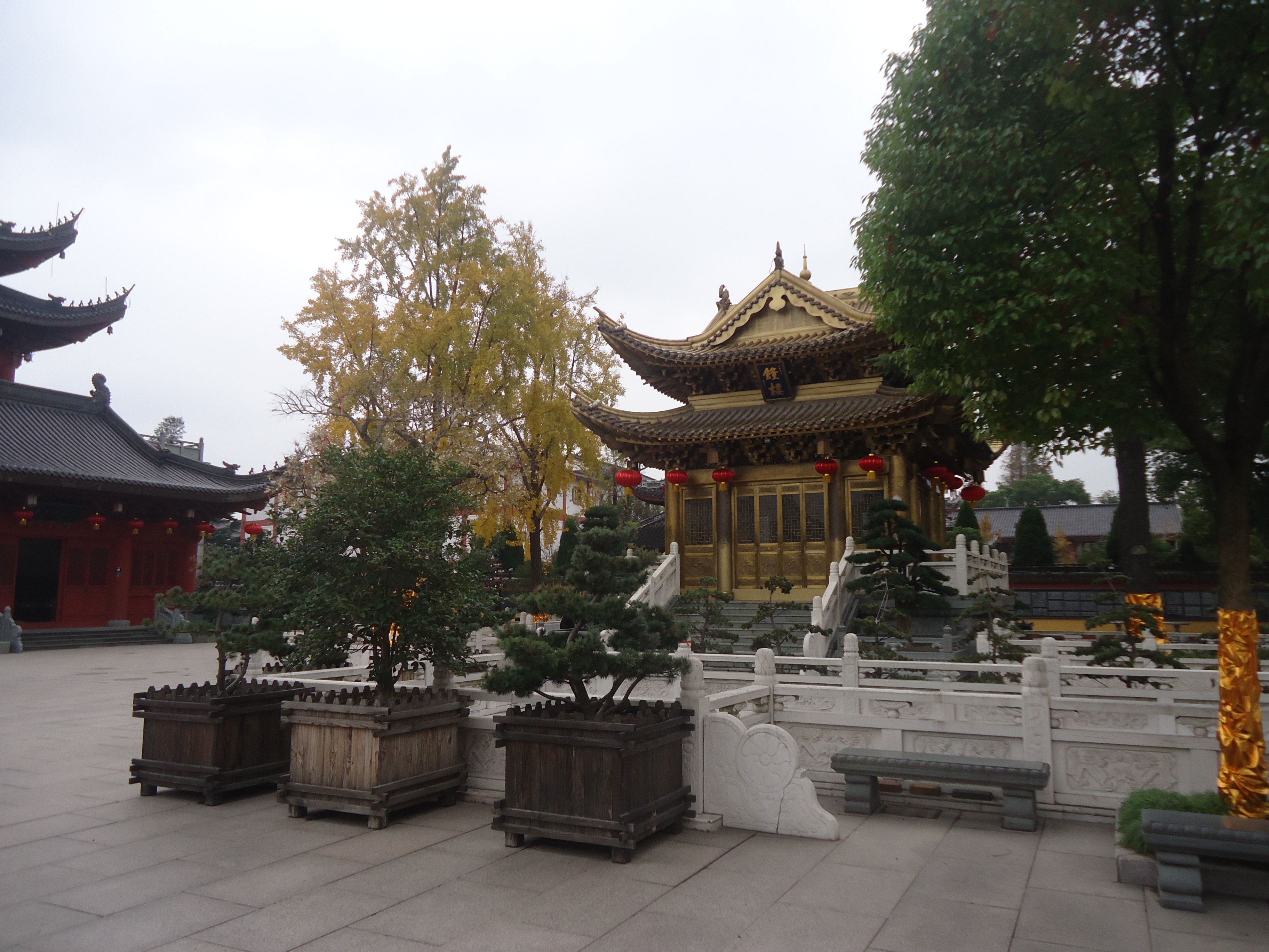 随手拍之上海东林寺