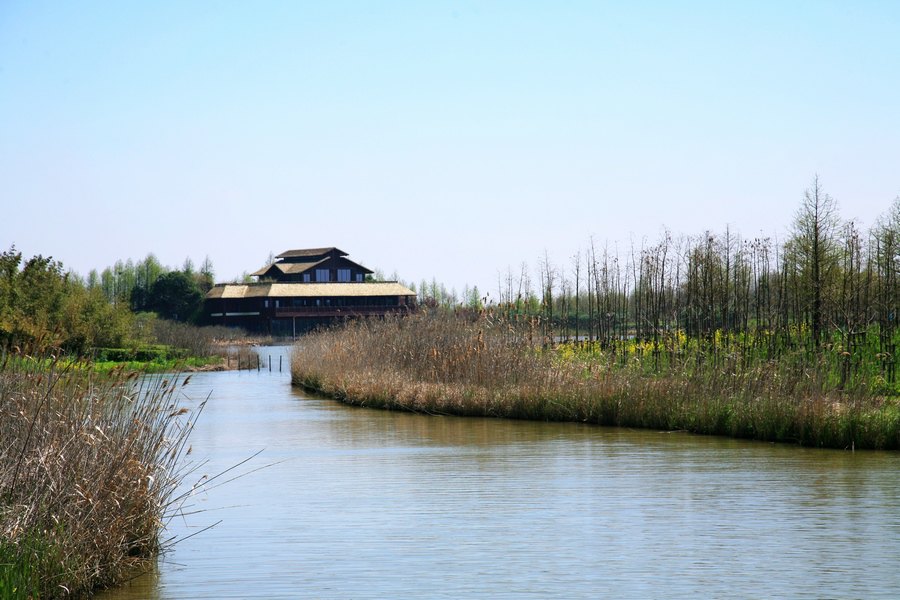 东滩湿地公园