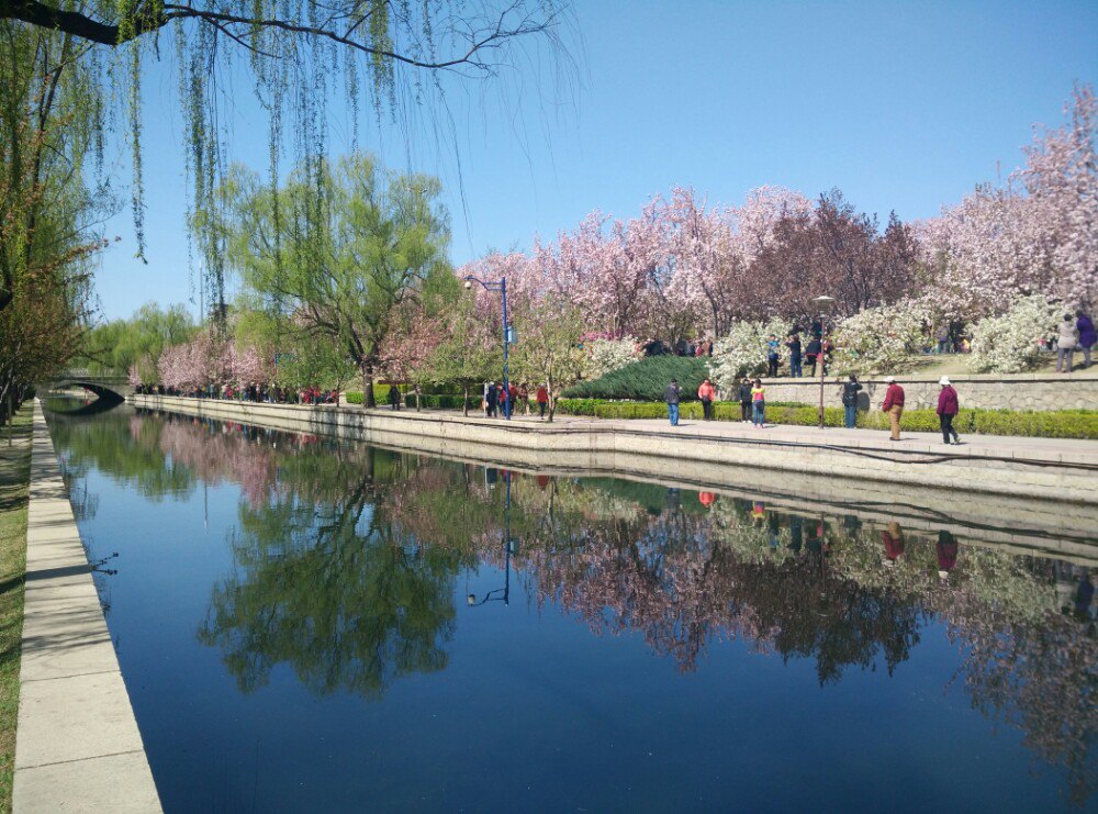 北京元大都遗址公园的海棠花溪