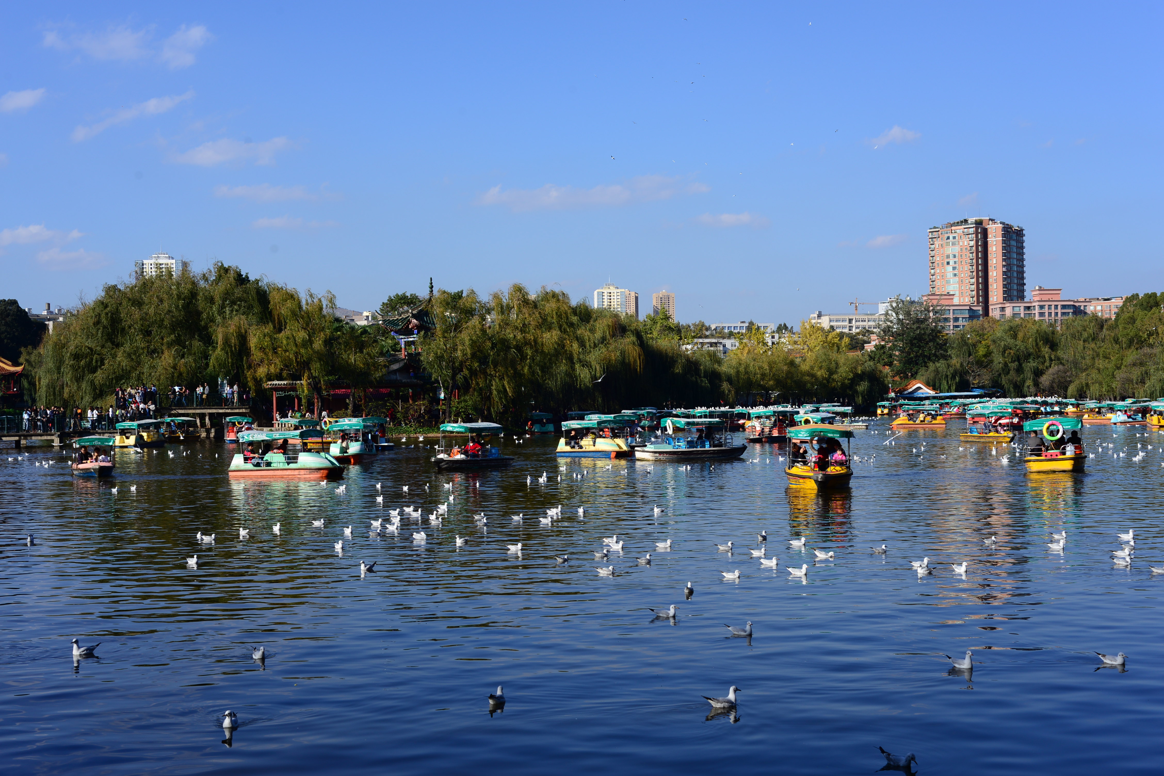 翠湖公园